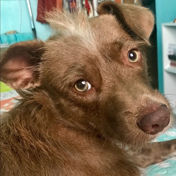 Meet your Posher, Whitney - Picture 3 of 8